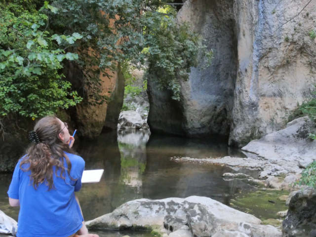 blog-2026-49